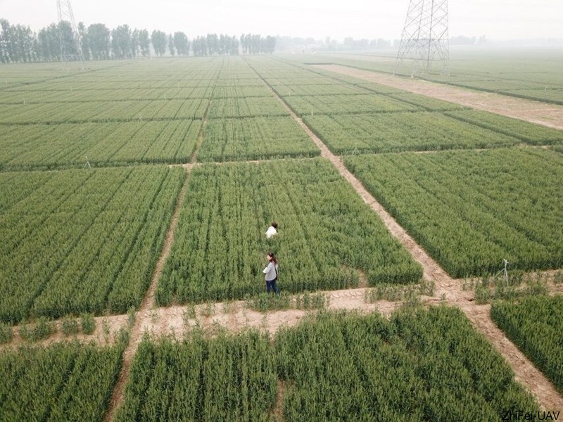 河北智飛極農(nóng)無人機(jī)科技|一鳶科技|行業(yè)定制無人機(jī)
